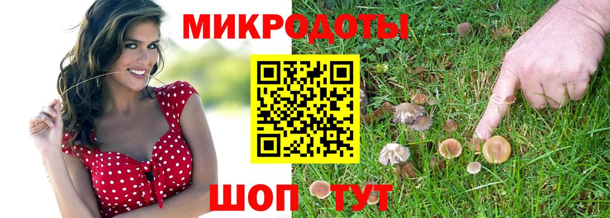 Псилоцибиновые грибы ЛСД  магазин продажи   Городец  Вход с VPN  Псилоцибиновые грибы MAGIC MUSHROOMS 